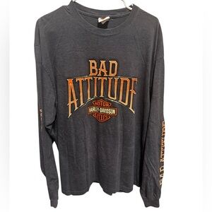 Harley Davidson 2013 Grey Long Sleeve Bad Attitude Men’s T-Shirt Cycle Sz XL